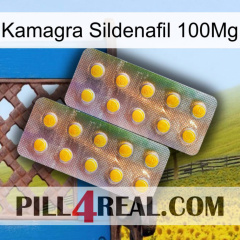 Kamagra Sildenafil 100Mg new10